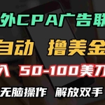 (13593期)海外CPA全自动撸美金, 日入100+美金, 无脑操作,解放双手