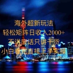 (13583期)2025全新海外暴力玩法,操作简单,小白轻松上手