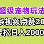 (13578期)超级宠物视频玩法,1条视频点赞20w,轻松日入2000+