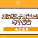 (13631期)虎牙拉新自撸玩法 每个后台每天100+