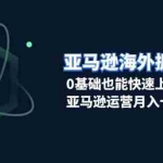 (13644期)亚马逊海外掘金策略,0基础也能快速上手,亚马逊运营月入十万秘诀