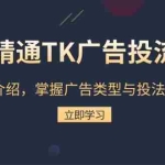(13641期)精通TK广告投流:底层逻辑介绍,掌握广告类型与投法,提升效果