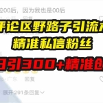 （13676期）评论区野路子引流术，精准私信粉丝，单号日引流300+精准创业粉