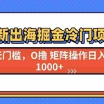 （13672期）最新出海掘金冷门项目，单号日入1000+
