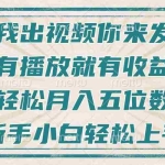 (13667期)不剪辑不直播不露脸,有播放就有收益,轻松月入五位数,新手小白轻松上手