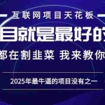 (13662期)2025年普通人如何通过“知识付费”卖项目年入“百万”镰刀训练营超级IP…