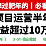 (13663期)年前过肥年的必看的超冷门项目,半年收益超过10万+,
