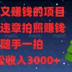 (13686期)解气又赚钱的项目,最新违章拍照赚钱,随手一拍,轻松收入3000+