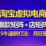 (13687期)【淘宝虚拟项目】2025牛逼新打法:爆款矩阵+店矩阵,月狂赚5万