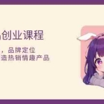 (13682期)情趣用品创业课程:涵盖产品合规,品牌定位,营销技巧,打造热销情趣产品