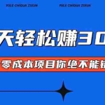 (13702期)零成本入门!简单几步开启一天300+的赚钱之路!