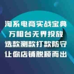 (13701期)淘系电商实战宝典:万相台无界投放,选款测款打款防守,让你店铺脱颖而出