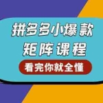 (13699期)拼多多爆款矩阵课程:教你测出店铺爆款,优化销量,提升GMV,打造爆款群