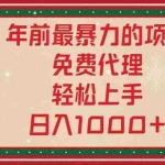 (13773期)年前最暴力的项目,免费代理,轻松上手,日入1000+