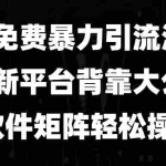 (13745期)免费暴力引流法,全新平台,背靠大公司,软件矩阵轻松操作