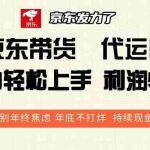 (13833期)京东带货 代运营 利润55分 告别年终焦虑 年底不打烊 持续现金流