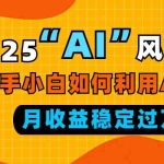(13821期)2025“ AI ”风口,新手小白如何利用ai,每月收益稳定过万