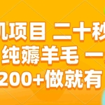 (13803期)手机项目 二十秒一单 纯薅羊毛 一天200+做就有