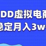 (13801期)PDD虚拟电商教程,稳定月入3w+,最适合普通人的电商项目