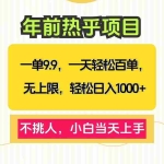 (13795期)一单9.9,一天百单无上限,不挑人,小白当天上手,轻松日入1000+