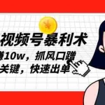 (13793期)2025视频号暴利术,单号月赚10w,抓风口蹭热点是关键,快速出单