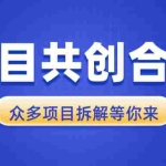 (13778期)项目共创合集,从0-1全过程拆解,让你迅速找到适合自已的项目