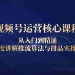 (13863期)视频号运营核心课程,从入门到精通,深度讲解推流算法与排品实操玩