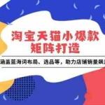 (13882期)淘宝天猫小爆款矩阵打造:涵盖蓝海词布局、选品等,助力店铺销量飙升