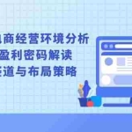 (13878期)互联网电商经营环境分析, 企业盈利密码解读, 市场赛道与布局策略