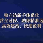 (13914期)独立站新手体系化 运营全过程,助你精准选品、高效建站、快速盈利