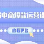 (13910期)天猫电商爆款运营课程,爆款卖点提炼与流量实操,多套模型全面学习