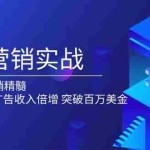 (13954期)邮件营销实战,掌握EDM营销精髓,助力网站非广告收入倍增,突破百万美金