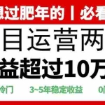 (13952期)2025快递站回收玩法:收益超过10万+,项目冷门,0门槛