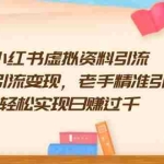 （13995期）小红书虚拟资料引流，新手引流变现，老手精准引流，轻松实现日赚过千