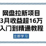 (13994期)网盘拉新项目:3月收益超16万,入门到精通教程