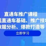 (14001期)直通车推广课程:包括直通车基础、推广技巧、数据分析、爆款打造等