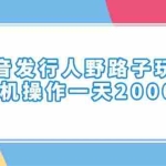 (14041期)抖音发行人野路子玩法,手机操作一天2000+