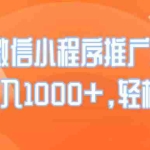 (14032期)25年微信小程序推广最新玩法,日入1000+,轻松简单