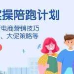 (14008期)淘天实操陪跑计划,2024年最新电商营销技巧,包括直通车、大促策略等