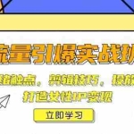 (14008期)流量引爆实战班,涵盖情绪触点,剪辑技巧,投放逻辑等,打造女性IP变现