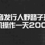 （14068期）抖音发行人野路子玩法，手机操作一天2000+