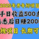 (14076期)2025开年好项目,单号日收益2000左右