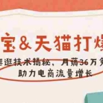 (14106期)淘宝&天猫 打爆班,AI逛逛技术揭秘,月薅36万免费流,助力流量增长