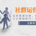 (14102期)社群运营必备!从零搭建社群,揭秘六大锦囊、七大营销技巧,打造火爆社群