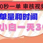 (14093期)10秒一单,审核视频 ,不限单量时间,新人小白一天300+