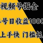 (14183期)视频号掘金,单号日收益1000+,门槛低,容易上手。