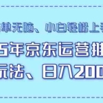 (14179期)25年京东运营推广最新玩法,日入2000+,小白轻松上手!