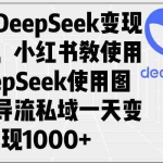 (14179期)通过DeepSeek变现方式,小红书教使用DeepSeek图文,导流私域一天变现1000+