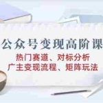 (14177期)公众号变现高阶课:热门赛道、对标分析、广告主变现流程、矩阵玩法