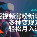 （14170期）最新风口蓝海项目，小红书AI美女短视频涨粉玩法，多种变现方式轻松月入…